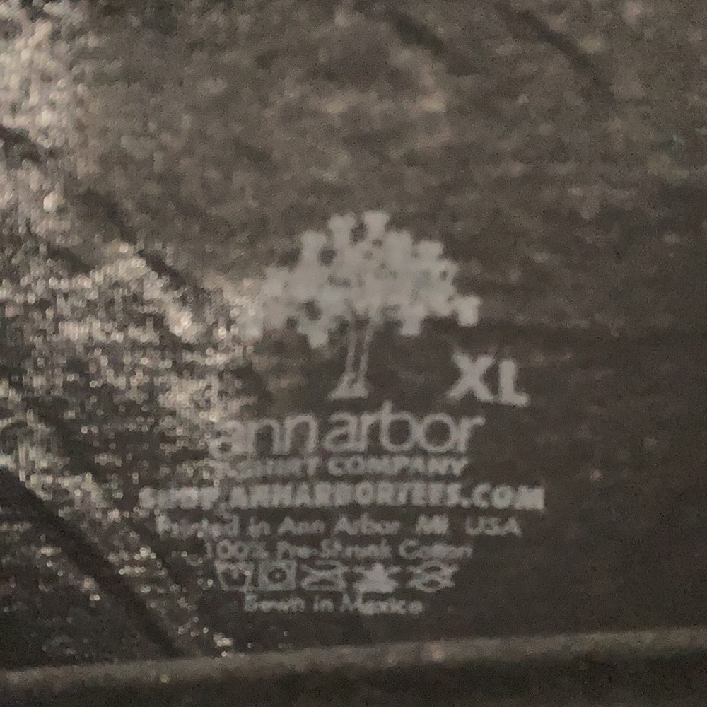 XL AnnArbor t-shirt - Picture 3 of 3